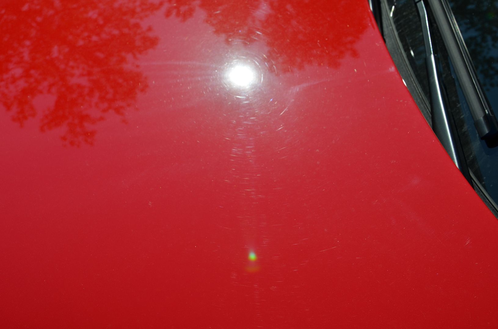 New Car Paint Correction and Opti Coat install on VW Golf R Detailer